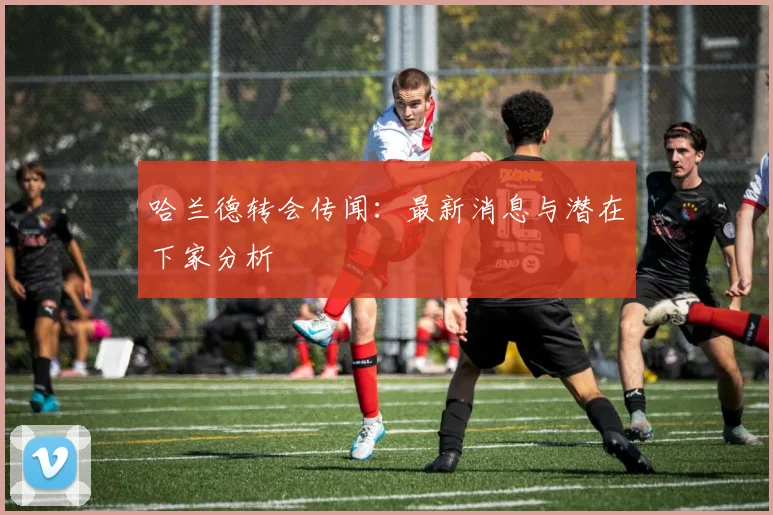 哈兰德转会传闻:最新消息与潜在下家分析