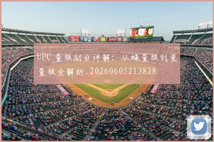 UFC 量级划分详解：从蝇量级到重量级全解析_20260605213828