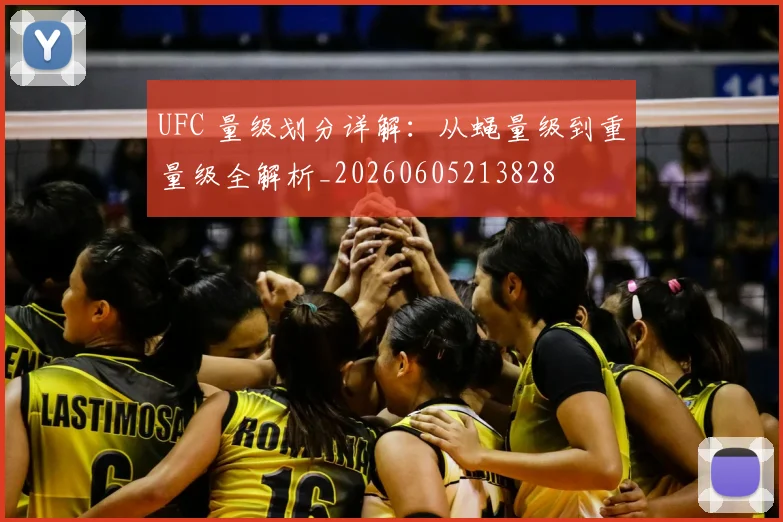 UFC 量级划分详解：从蝇量级到重量级全解析_20260605213828