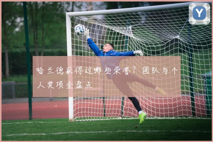 哈兰德获得过哪些荣誉?团队与个人奖项全盘点