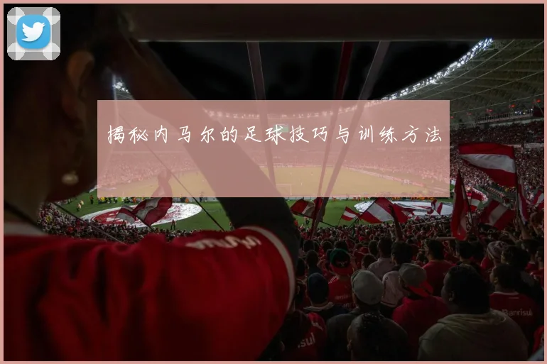 揭秘内马尔的足球技巧与训练方法